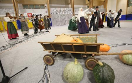 Folklorni festival KD Rak Rakek 61 Foto Ljubo Vukelič